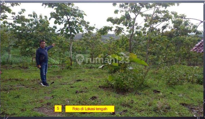  Kavling Untuk Industri Murah di Pracimantoro Wonogiri Jawa Tengah 12