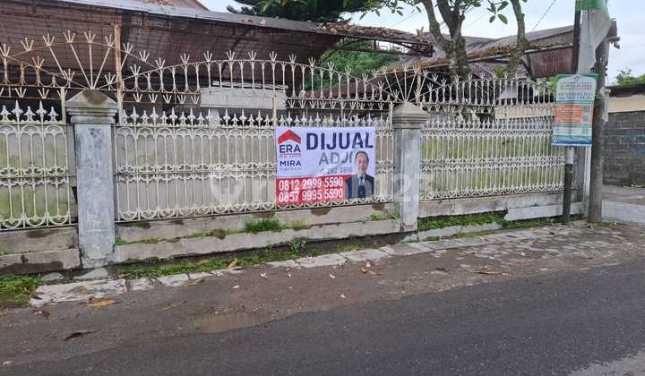 Beautiful and Lush House by the Side of Nogotirto Street, Gamping 2