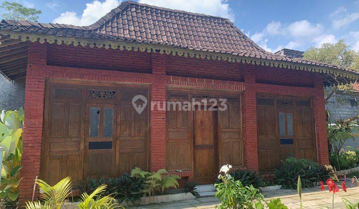 Rumah Joglo Cocok Untuk Homestay Area Grabag Magelang 8