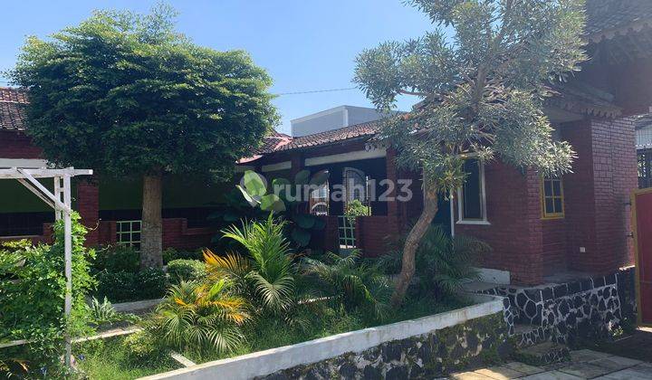 Rumah Joglo Cocok Untuk Homestay Area Grabag Magelang 10