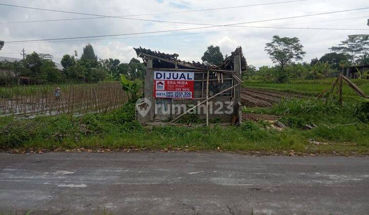 Tanah SHM Pertanian Dekat Pabrik Furniture Area Medari Sleman 1