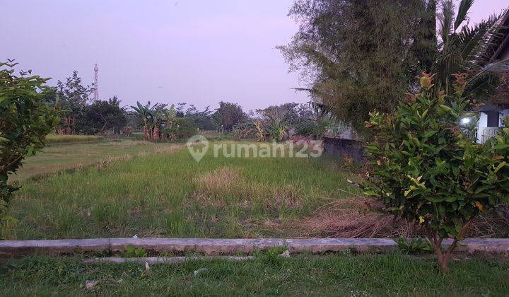 Tanah Sawah SHM Area Sidomoyo Jl. Godean Km 7 4