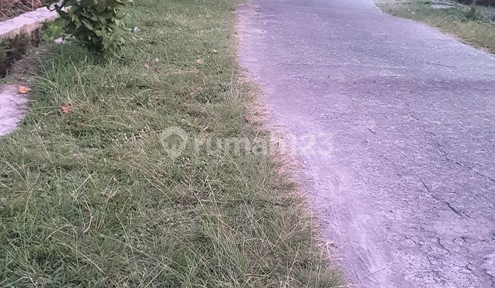 Tanah Sawah SHM Area Sidomoyo Jl. Godean Km 7 5