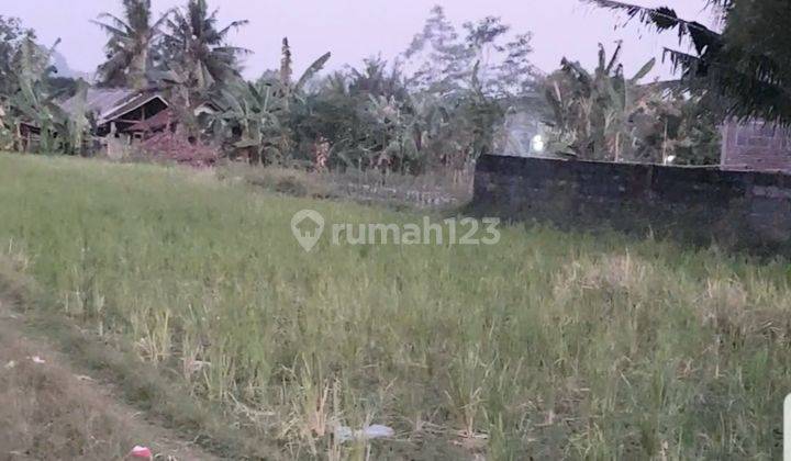 Tanah Sawah SHM Area Sidomoyo Jl. Godean Km 7 7