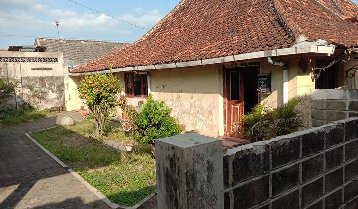 Rumah SHM Unfurnished Dekat Kraton Jl. Kadipaten Yogyakarta 1