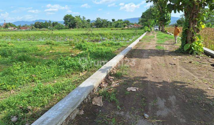 Tanah Kawasan Pertanian Dekat Exit Tol Jogonalan Klaten 2