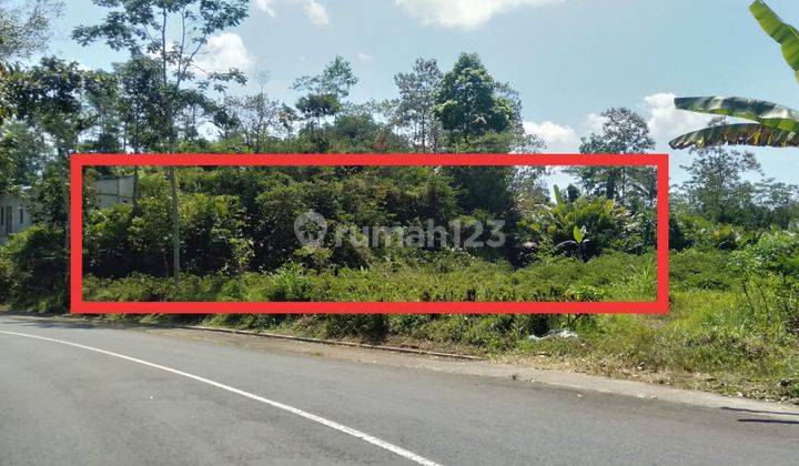 Tanah SHM Dekat Kopi Puncak Menoreh Girimulyo Kulon Progo 1