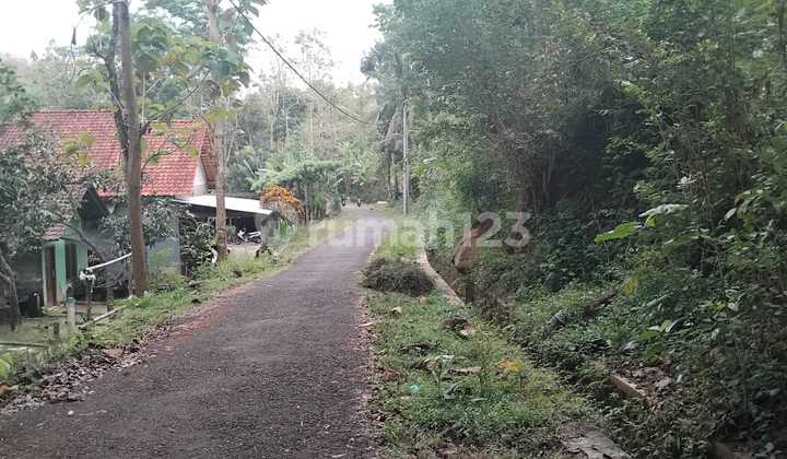 Tanah 494 m2 SHM Area Girimuyo Kulon Progo