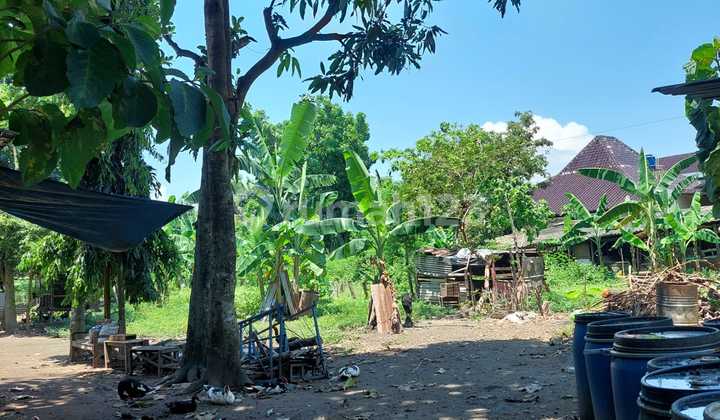 Jual Cepat Tanah SHM Dekat Terminal dan Kampus Area Giwangan Yogyakarta Jual Cepat Tanah SHM Dekat Terminal dan Kampus Area Giwangan Yogyakarta