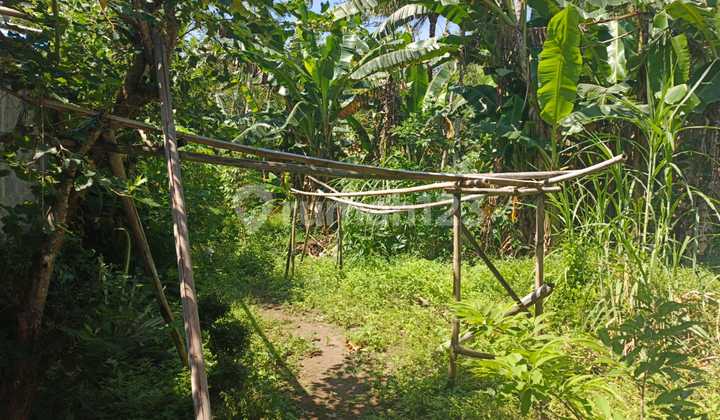 Tanah Strategis Pinggir Jalan Deandles Area Purworejo Tanah Strategis Pinggir Jalan Deandles Area Purworejo