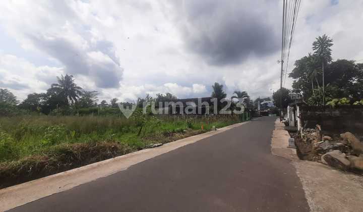 Wide Rice Field Ready to Build Area on Jl. Palagan, Ngaglik, Sleman