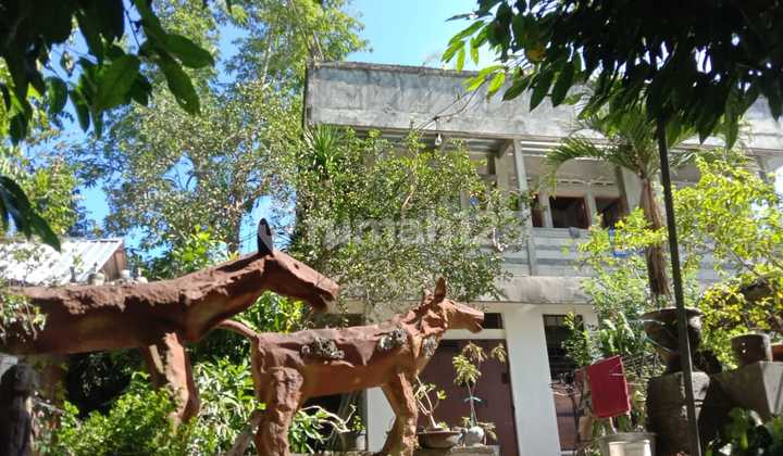 Rumah Limasan Siap Huni Area Kasihan Bantul Rumah Limasan Siap Huni Area Kasihan Bantul