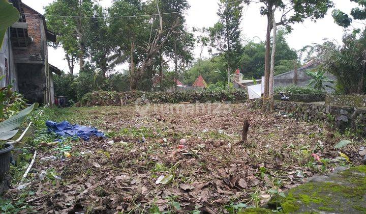 Tanah Kawasan Perkebunan Salak Turi Sleman 1