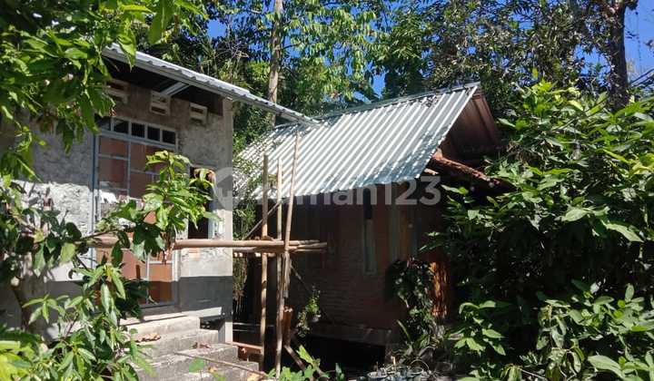 Nice House Unfurnished Area Kasongan Bantul 2