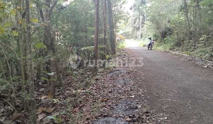 Tanah Kosong Perbukitan Area Girimulyo Kulon Progo