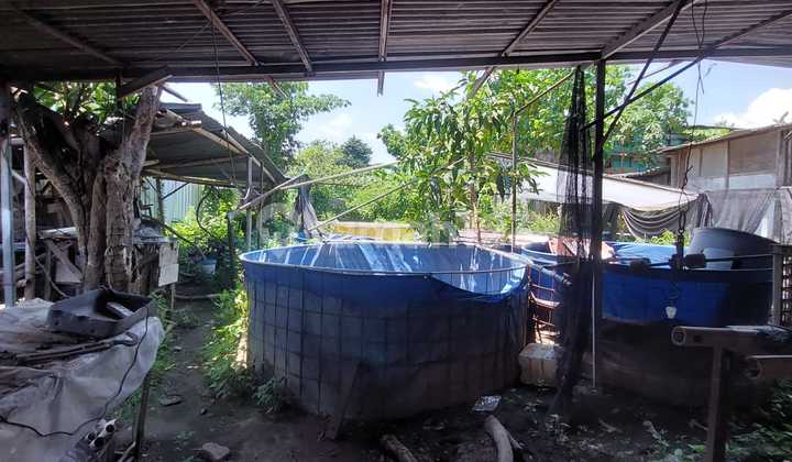 Jual Cepat Tanah SHM Tepi Jalan Samping Terminal Giwangan Yogyakarta Jual Cepat Tanah SHM Tepi Jalan Samping Terminal Giwangan Yogyakarta