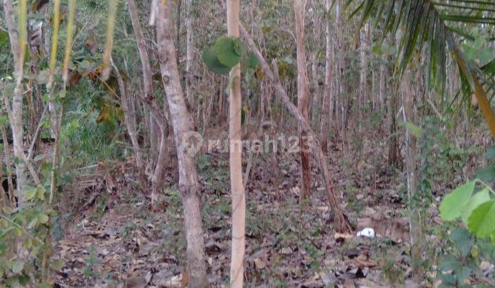 Tanah Siap Bangun Kawasan Wisata Jl. Dlingo patuk Bantul 2