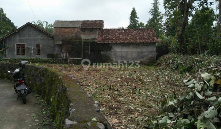 Tanah Kawasan Perkebunan Salak Turi Sleman 2