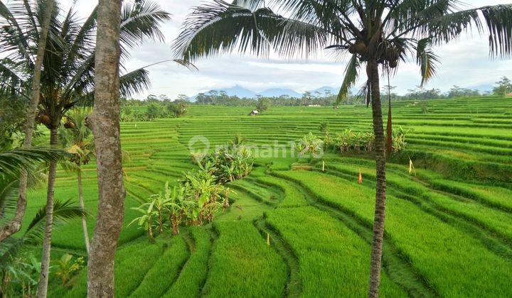 Tropical Elegance Luxury Villa With Infinity Pool And Stunning Rice Field Views 2