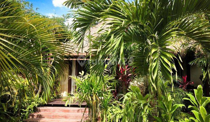 2 Bedroom Villa With Beautiful Rice Fields 1