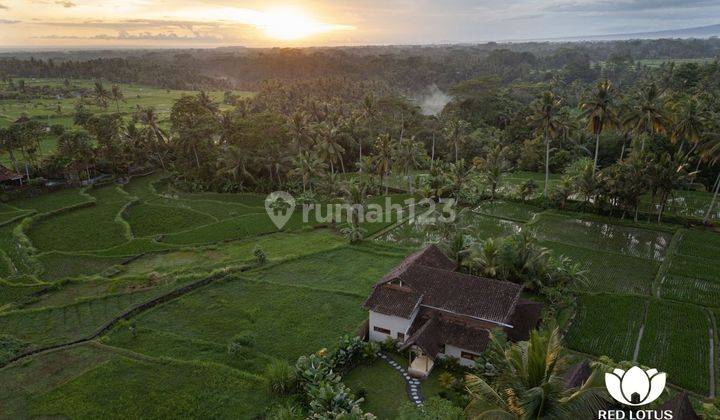 Villa Leasehold Dengan Pemandangan Sawah Yang Menakjubkan Dan Taman Yang Luas