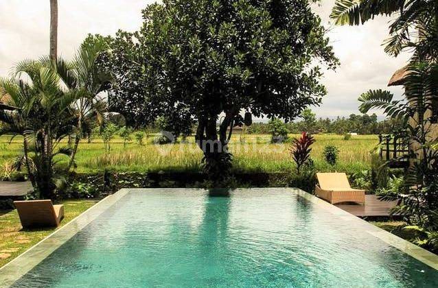 2 Bedroom Villa With Beautiful Rice Fields 2