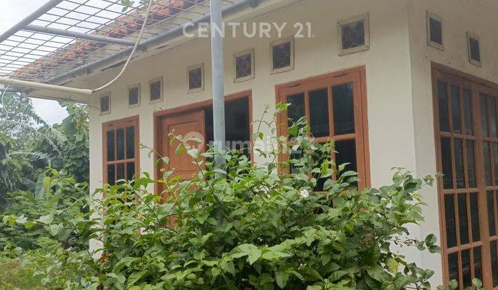 Dijual Cepat Rumah Gaya Classic Di Bintaro Ciputat GB15595 2