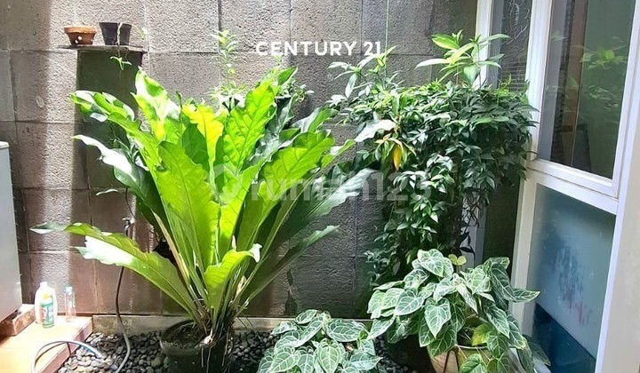 Rumah Cantik di Sektor 9 Bintaro Ip 17884 2