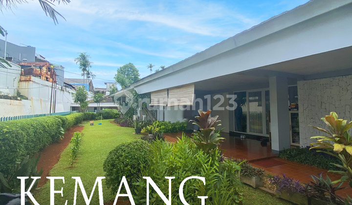 Rumah klasik tropis mewah di kemang