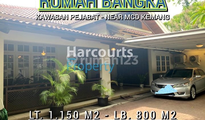 Rumah Halaman Luas Nyaman di Kemang Rumah Halaman Luas Nyaman di Kemang