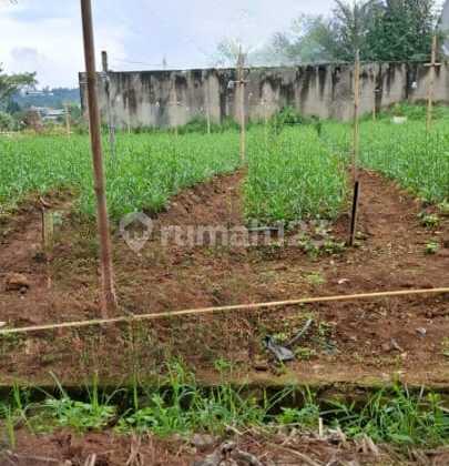 Tanah 500 m2 SHM Setiabudi Graha Puspa, Bandung Tanah 500 m2 SHM Setiabudi Graha Puspa, Bandung