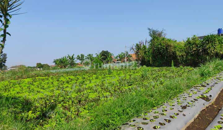 tanah  datar siap bangun daerah wisata Cihideung Bandung 2