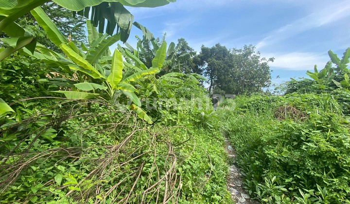 Turun 12 Miliar Tanah Premium Jl Hos Cokroaminoto Tegalrejo Yogyakarta