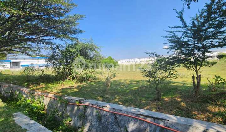 Turun 10 Miliar Tanah Murah di Kawasan Industri Tuban Jenu Socorejo