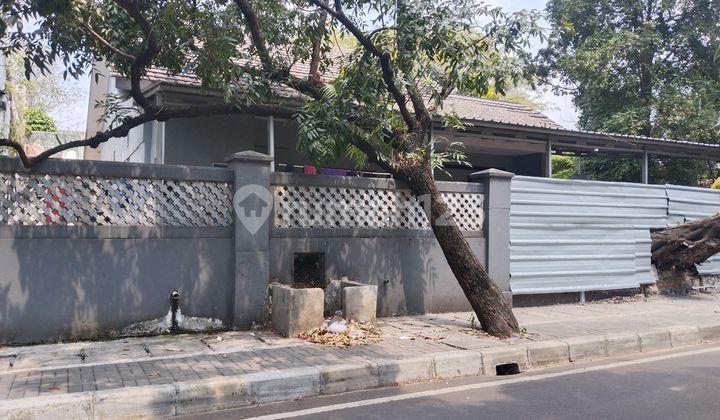 Rumah Hook Di Jl Situbondo Menteng Harga Dibawah Pasaran