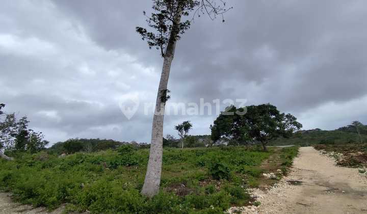 70 ke 30 Miliar Tanah Jl Pantai Balangan Jimbaran Kuta Badung Bali