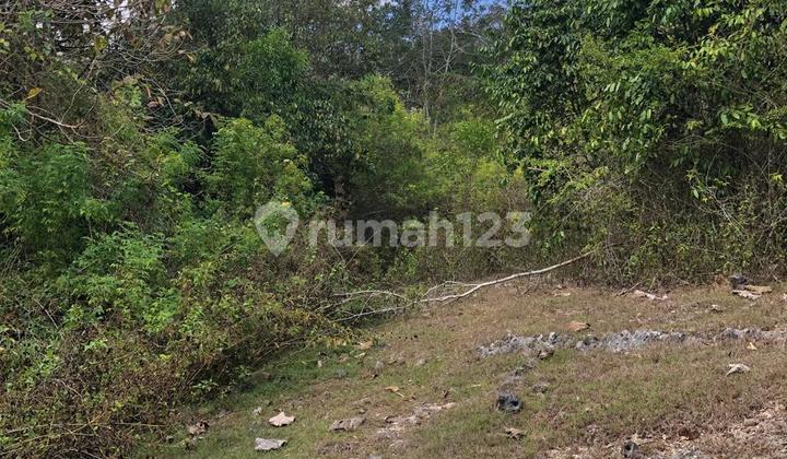 Diskon 10 M Tanah Murah Jl Raya Uluwatu Pecatu Harga Dibawah Pasaran Diskon 10 M Tanah Murah Jl Raya Uluwatu Pecatu Harga Dibawah Pasaran