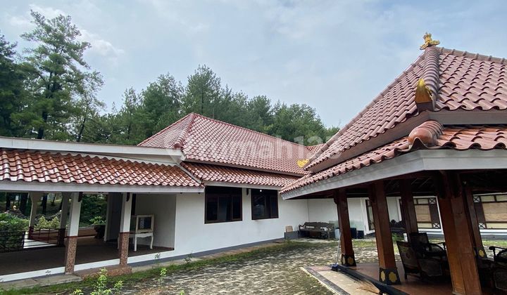 Rumah Nuansa Villa dalam Komplek Besar di Cinere - Dekat ke Jakarta Selatan