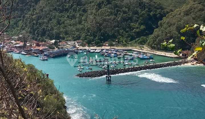 Tanah Super Istimewa Tepi Pantai Di Wonosari Tanah Super Istimewa Tepi Pantai Di Wonosari
