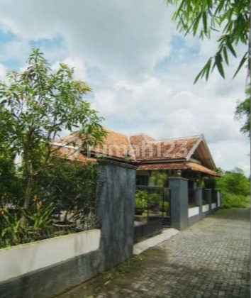 Rumah Cantik Dan Asri Dekat Kampus Ugm Di Palagan 2