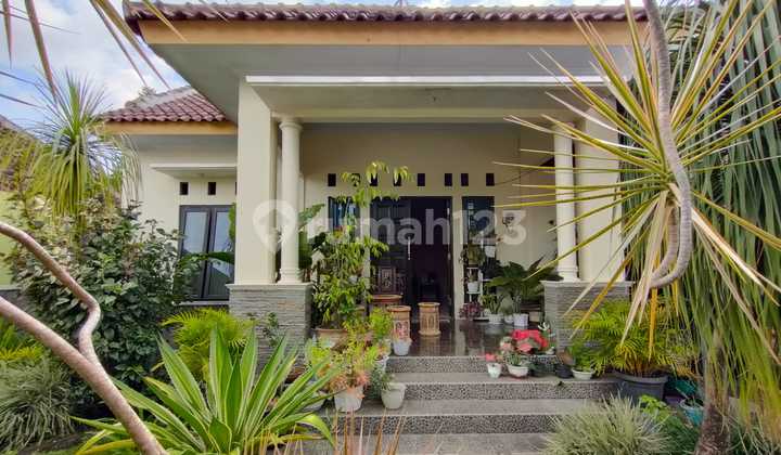 RUMAH ASRI SUASANA PEDESAAN DI JALAN RAYA SELOMARTANI