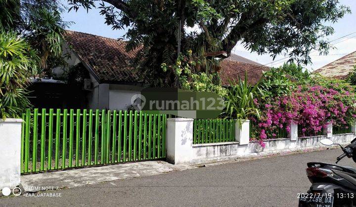 TANAH MURAH BONUS BANGUNAN TEPI JALAN ASPAL DI BACIRO 2