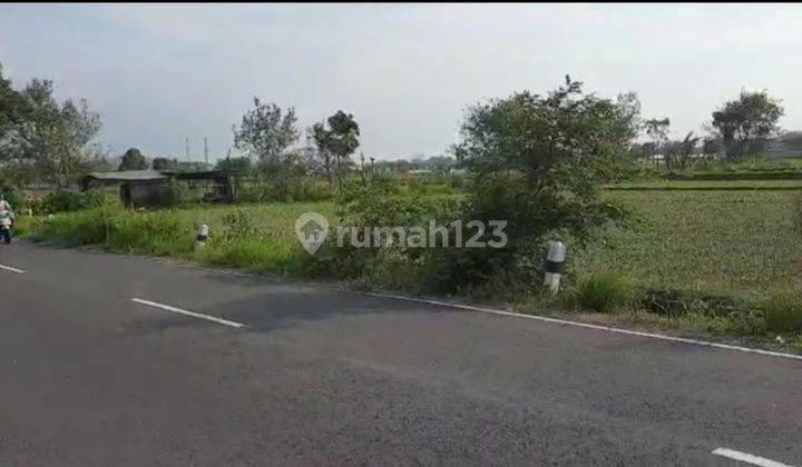 TANAH SUPER ISTIMEWA DAN MURAH DI PINGGIR JALAN MANISRENGGO  UTARA HOTEL GALUH PRAMBANAN  2