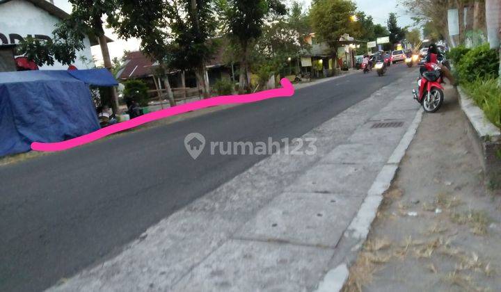 TANAH SUPER ISTIMEWA DI CEBONGAN  1