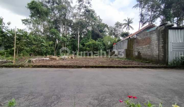 TANAH CANTIK DAN SUPER MURAH DI JALAN TAJEM