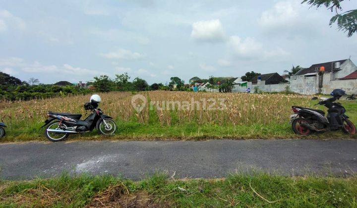 TANAH SUPER CANTIK DAN MURAH DI KLATEN 3
