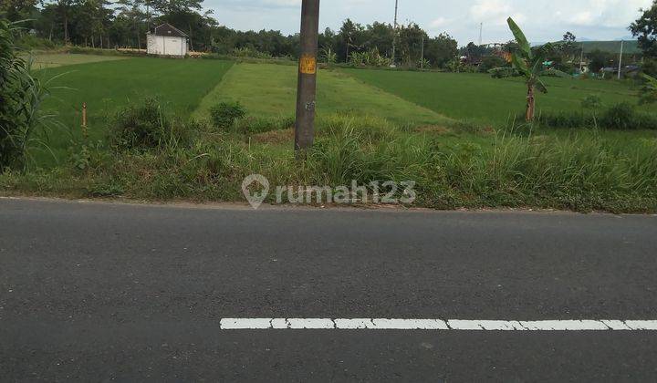 TANAH SUPER ISTIMEWA DAN MURAH DI MANISRENGGO KLATEN 2