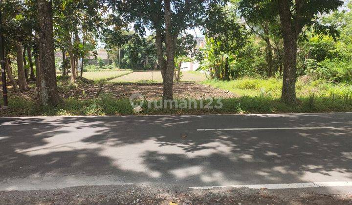 TANAH SUPER ISTIMEWA DI JALAN GITO GATI  3