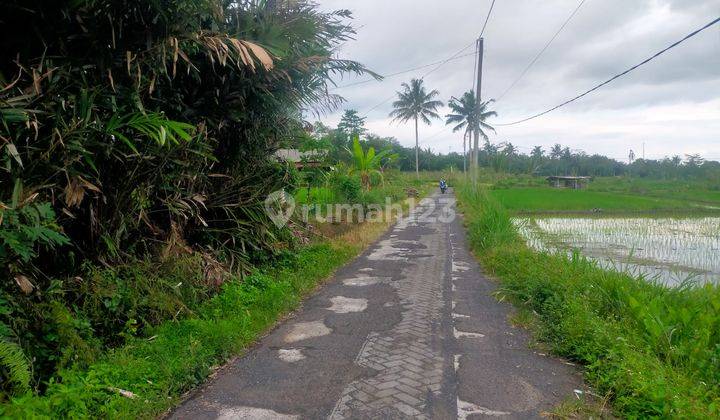 TANAH SUPER MURAH COCOK BUAT VILLA DI PAKEM 1