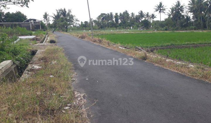 TANAH SUPER ISTIMEWA DAN MURAH DEKAT PASAR PAKEM DI JALAN KALIURANG. 17 1